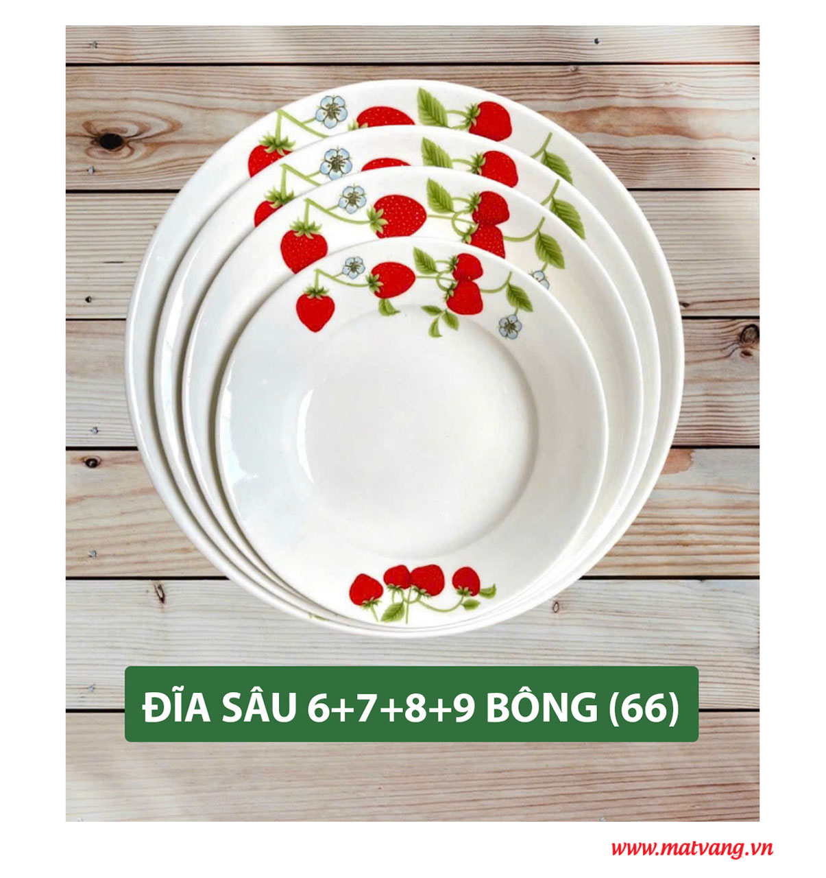 Đĩa Sâu  6+7+8+9 Bông 66