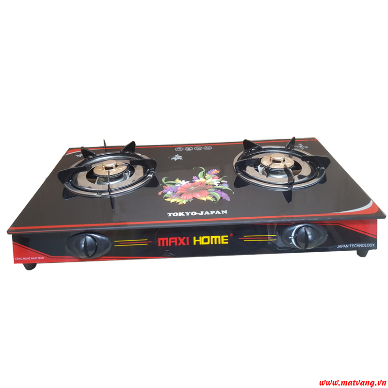 MAXI HOME double glazed gas stove